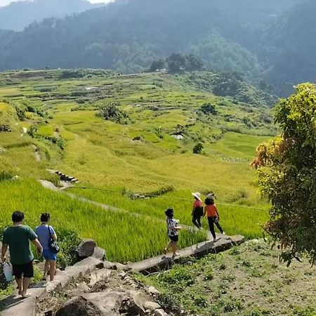 Banga-An Bnb And Coffee House Sagada Exteriér fotografie